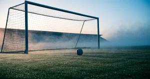 Ligue 1 wetten 2026: Quoten, Regeln und Anbieter im Vergleich